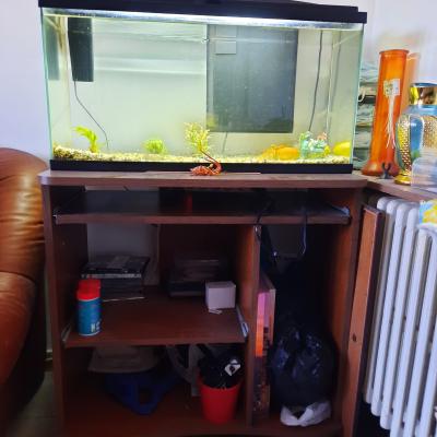 Aquarium et 3 poissons plus meuble