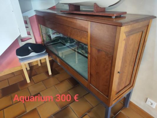 Aquarium 300 L avec habillage en bois