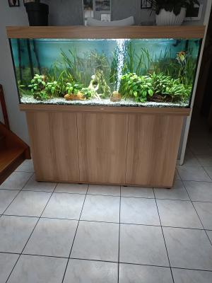 Aquarium 450l complet