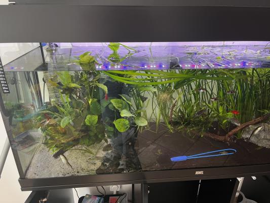 Aquarium 240l juwel meuble et tout le matériel