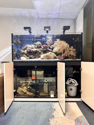 Aquarium 625 litres