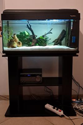 Aquarium et meuble