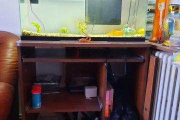 Aquarium et 3 poissons plus meuble