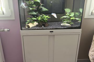 Aquarium 100 Litres