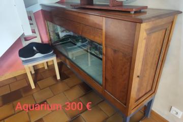 Aquarium 300 L avec habillage en bois