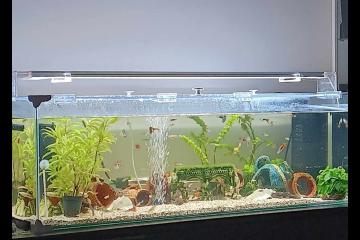 Aquarium 120 L