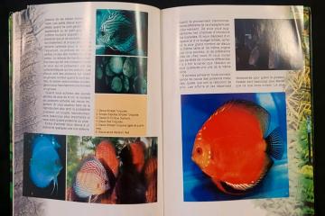 Le guide Back to nature des Discus