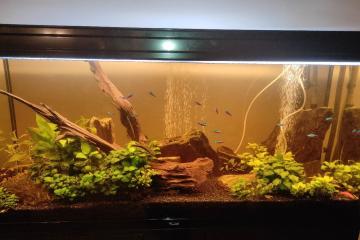 A vendre aquarium 300L équipé très bon état